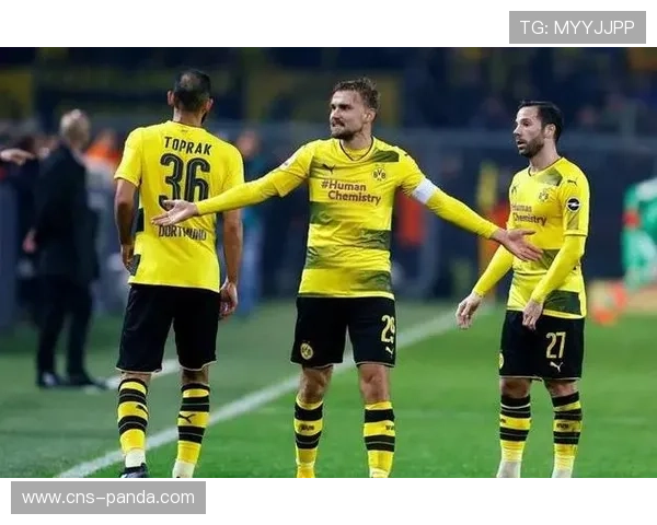 多特蒙德4-0大胜美因茨，哈兰德双响助球队紧追拜仁